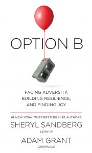 Option B book cover