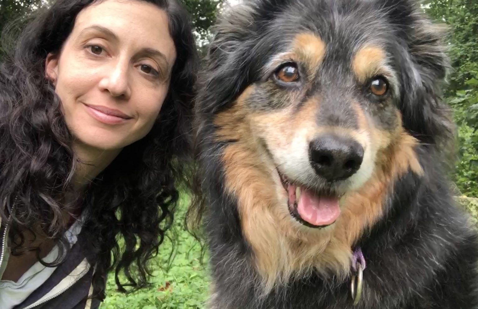 Countdown to Forever Modern Loss